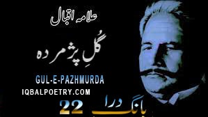Gul-e-Pazhmurda | A Withered Rose | Bang-e-Dra-022
