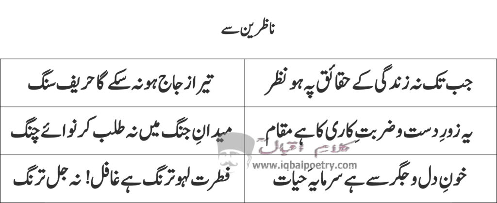  Nazreen Se